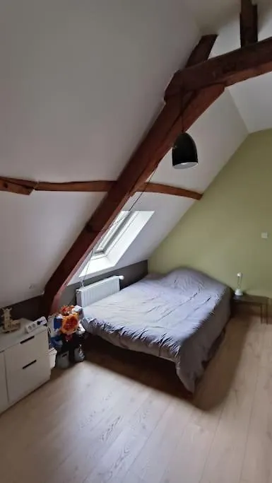 Ferme De Caractere Avec Piscine Et Cheminee Villa Sainghin-en-Melantois